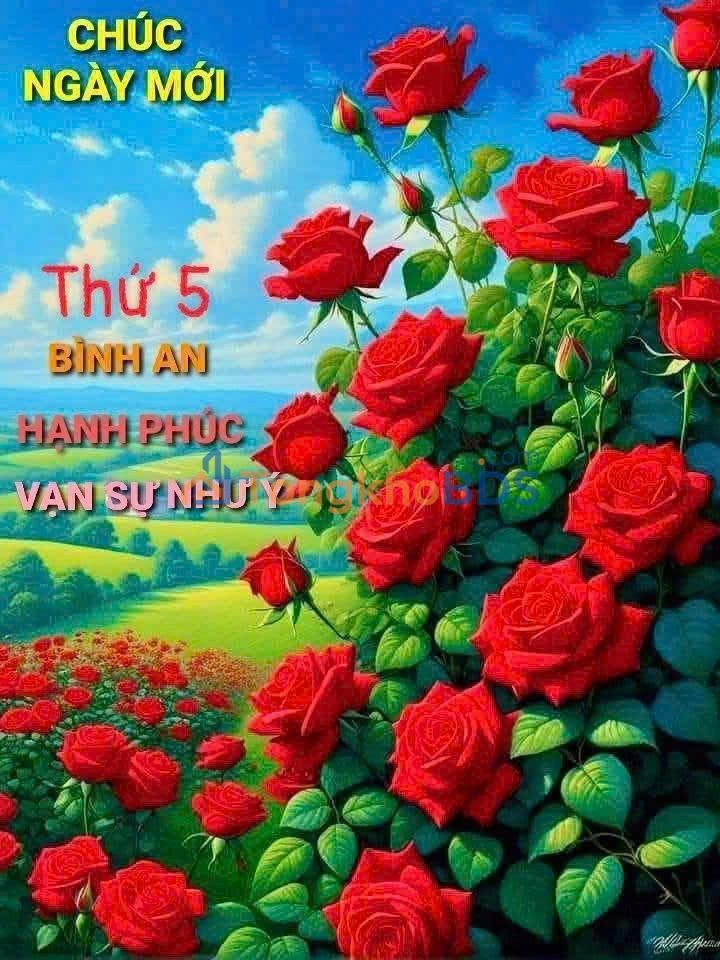 Đất Nền Vĩnh Long 313m² Mặt Tiền Rộng - Giá Tốt Chỉ 285 Triệu