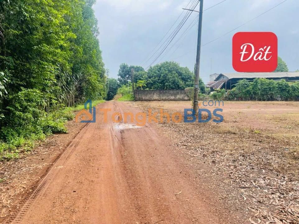 Đất nền Đồng Nai 2800m² - Sẵn sổ, giá hơn 4 tỷ - Kinh doanh đa ngành