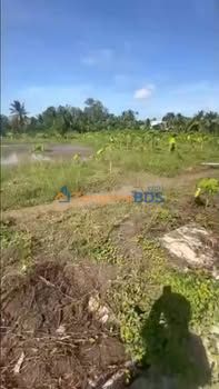 Bán Đất Nền Mặt Tiền Xe Hơi Phường Nhị Mỹ, Cai Lậy - 600 Triệu/Nền