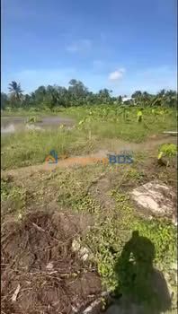 Bán 4 nền đất Phường Nhị Mỹ, Cai Lậy - 100m² thổ cư, mặt tiền xe hơi