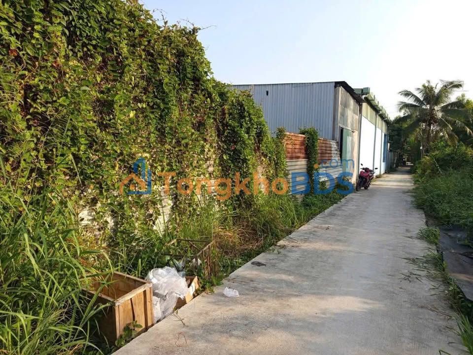 Đất Mặt Tiền Kinh A Bình Chánh 700m² - Giá 16 Tỷ, Sẵn Sổ Hồng