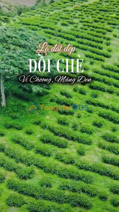 Bán Đất Mặt Tiền QL24, Bắc Tân Uyên - 10.000m² Gần Đồi Chè, Giá 4 Tỷ