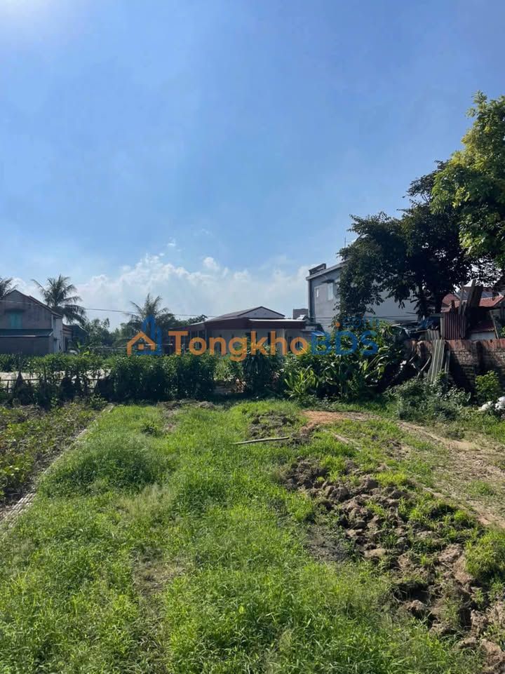 Bán Đất 81.3m² Cẩm Giàng, Hải Dương - 2 Mặt Ngõ Ô Tô