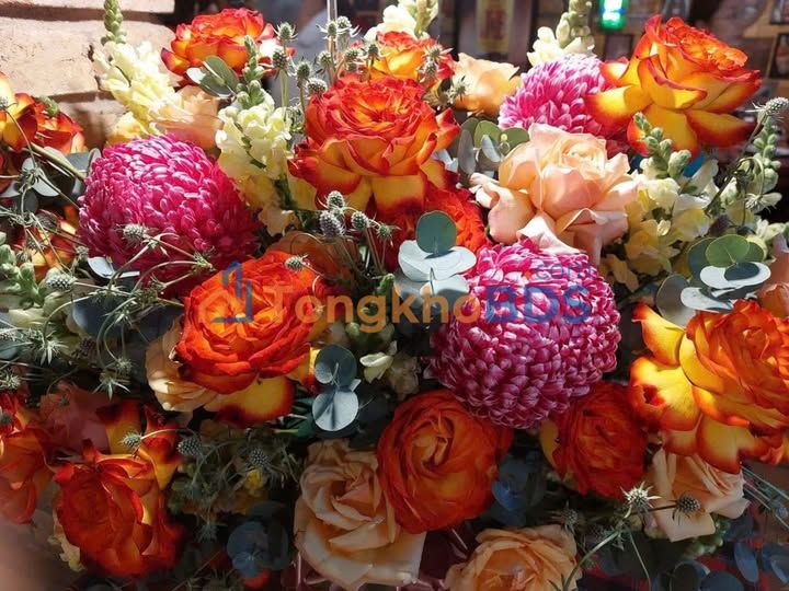 Mặt Tiền Kinh Doanh Cầu Cháy Dĩ An 120m² - Sẵn Sàng Ở Ngay