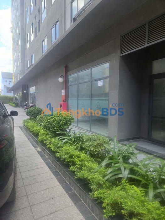 Shophouse Phạm Hữu Lầu Dĩ An 69.5m² - Kinh doanh đắc lợi!