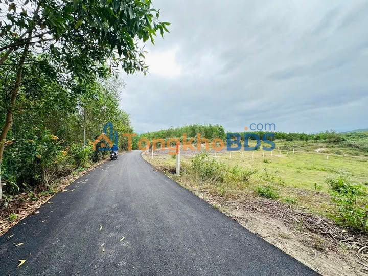 Đất thổ cư 546.9m² Khánh Nam, Khánh Hoà - Giá chỉ 199 triệu, tiềm năng sinh lời cao