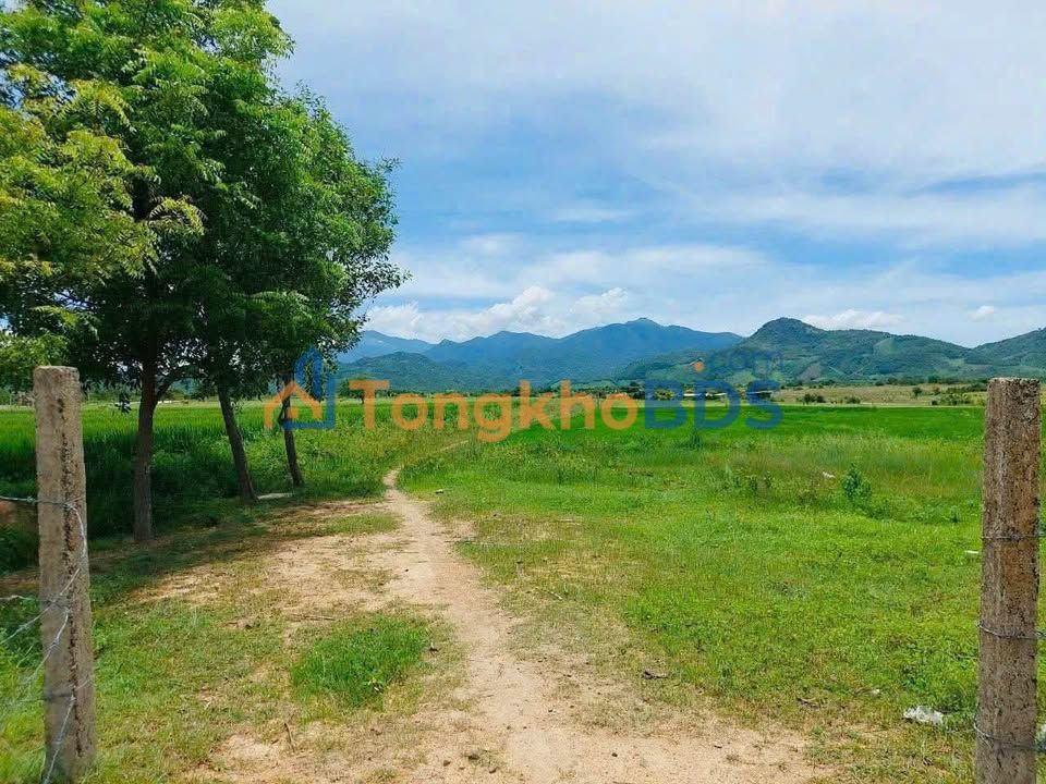 Bán Gấp Đất Nông Nghiệp 3600m² Đường 27B, Bác Ái - Lợi Thế Kép