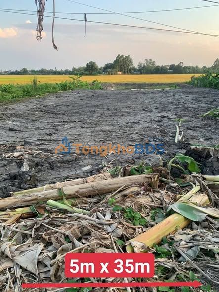 Bán đất nền Vĩnh Phú, Thoại Sơn 175m² - Giá chỉ 500 triệu, đường ô tô