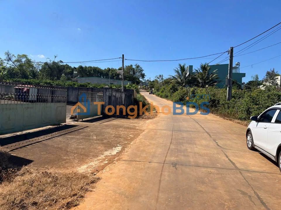 Đất thổ cư 175m² hẻm Bùi Dự, Pleiku - Giá 1.29 tỷ, sổ sẵn