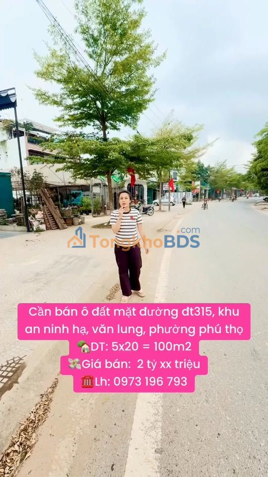 Đất Mặt Tiền ĐT 315 - Kinh Doanh Sầm Uất Xã Văn Lung, TX Phú Thọ - 100m²