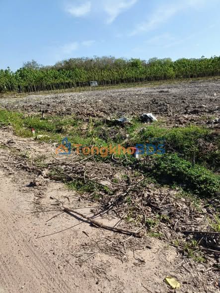 Đất Nền Long Nguyên, Bến Cát 200m² Sổ Đỏ Sẵn Sàng - Giá 830 Triệu