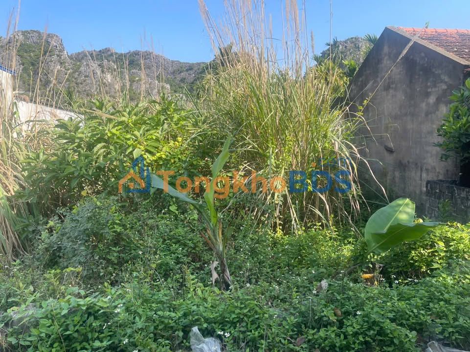 Đất nền Minh Tân, Kiến Thụy, Hải Phòng - 103m² giá chỉ từ 5xx triệu