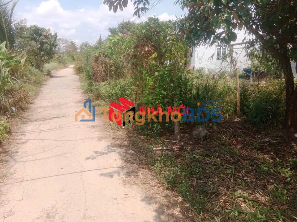 Bán Gấp Đất Vườn 327m² Xã Lý Văn Lâm, Cà Mau - Sổ Hồng Riêng