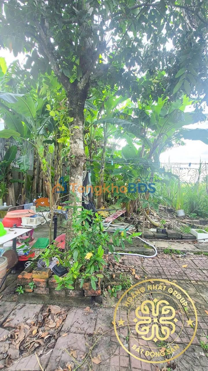 Bán Nền KDC Tân Xuyên, Cà Mau - 198m² Hướng Đông Nam - Giá 8xx Triệu