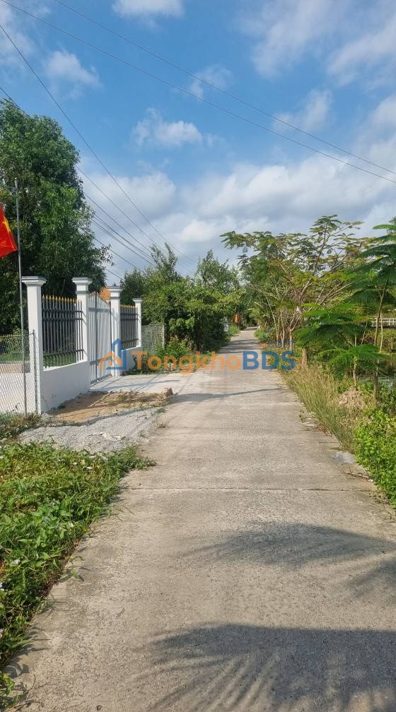 Đất Vườn Cà Mau 6000m² View Sông - Giá Đầu Tư 2.4 Tỷ
