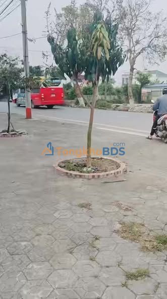 Nhà Phố Mặt Tiền Kinh Doanh Nghĩa Phong - 110m² - Giá 2.5 Tỷ