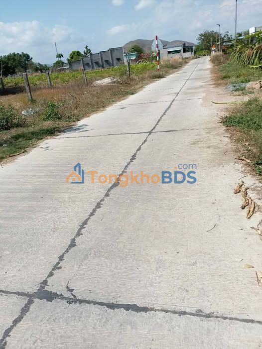 Đất Vườn Lâm Đồng 1774m² Sổ Đỏ Giá Tốt - Chính Chủ Bán Gấp