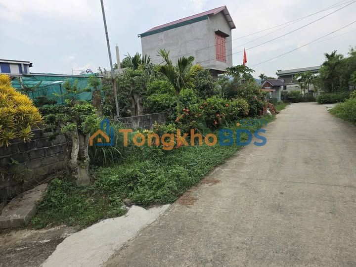 Đất nền Lạc Thủy 262m² - Sổ đỏ chính chủ, gần chợ trường