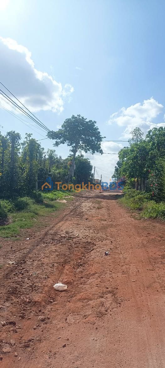 Đất Đinh Tiên Hoàng Đắk Mil 500m² 1.3 tỷ - Sổ đỏ chính chủ