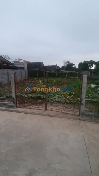 Bán Đất Lô Góc 425m² Thị Trấn Quý Nhất, Nam Định - Sổ Đỏ Rõ Ràng