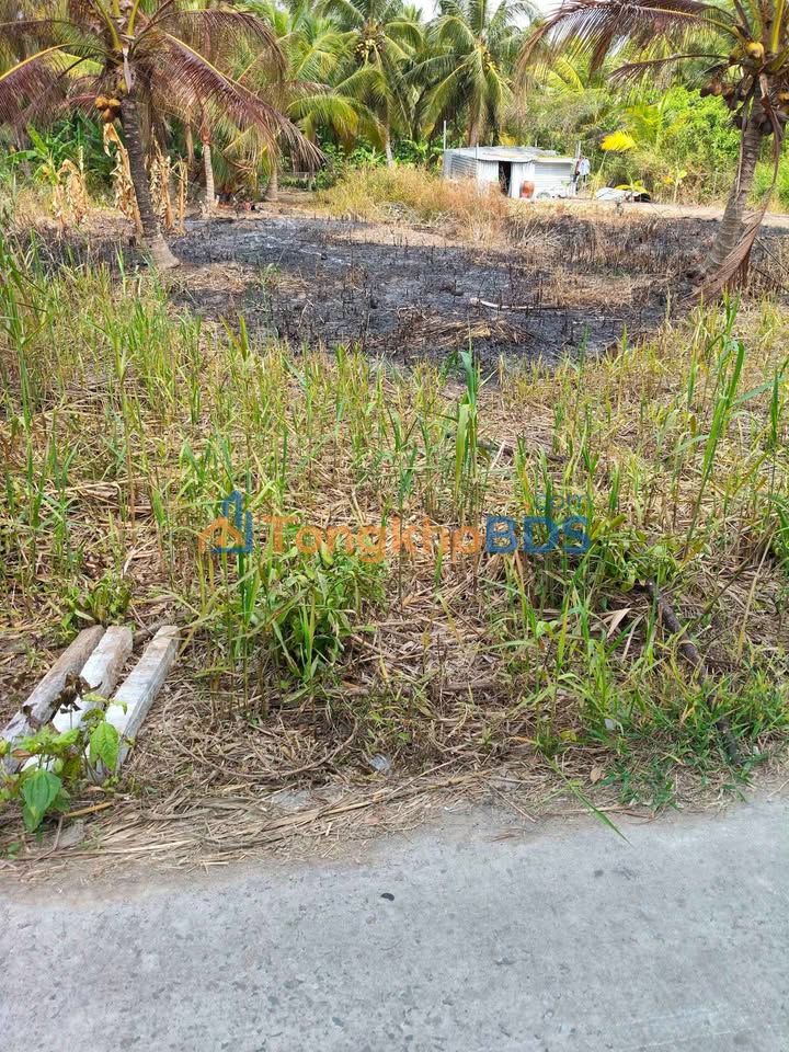 Đất nền Sóc Trăng - Xã Tân Thạnh, Long Phú - 399m² - Giá 350 Triệu