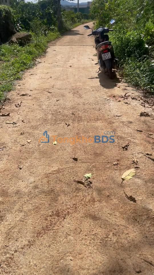 Đất Nền Di Linh 6120m² - 2 Tỷ, View Đẹp, Có Sổ Thổ Cư, Thu Nhập Cà Phê