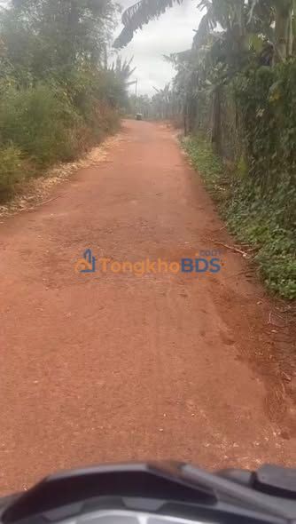 Đất nền Chư Prông 1575m² giá 1,125 tỷ - Sổ đỏ chính chủ