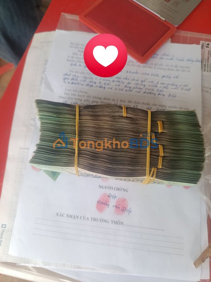 Farm 14.000m² Lâm Hà, Lâm Đồng - Giá 3.5 Tỷ, Sẵn Sàng Đầu Tư