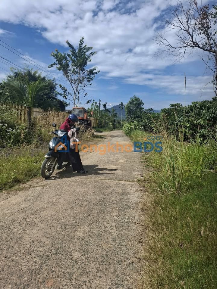 Bán Đất Tặng Nhà Yến Thôn 9 Đại Lào 34m² - Giá Gấp 1.6 Tỷ