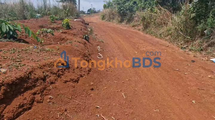 Bán Đất Lộc Bắc, Lâm Đồng: 5.6 Sào Đất Cafe Sổ Hồng, Giá 255 Triệu/Sào