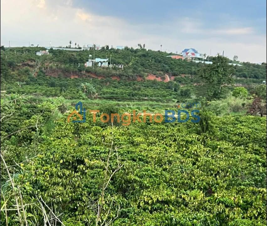 Đất vườn Tân Hà Lâm Hà 1.980m² 2,2 tỷ - Sinh thái xanh