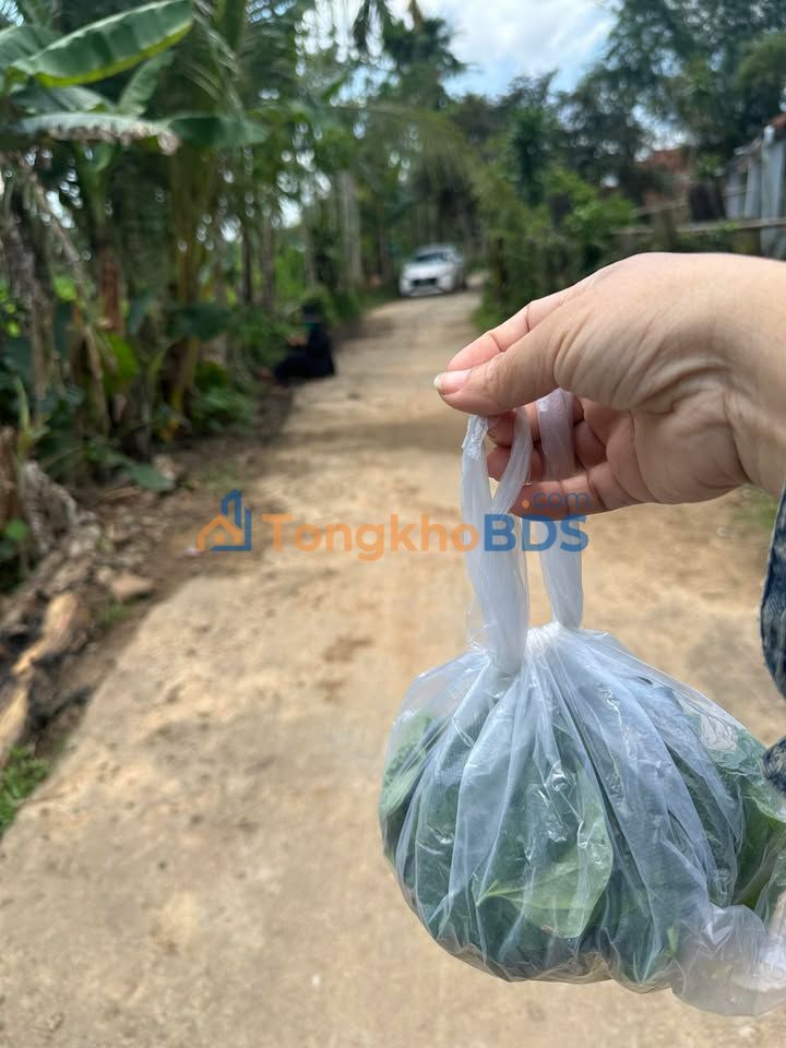 Bán Đất Tam Vinh Quảng Nam 2xx Triệu - Sổ Đỏ Rõ Ràng, Giá Tốt