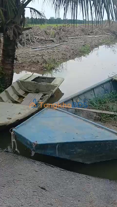 Bán Gấp 1.1ha Đất Vườn Phú Điền, Đồng Tháp - Giá 330 Triệu/Công