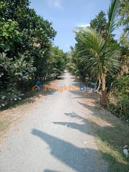 Bán Gấp 3.6ha Đất Vườn Tháp Mười - Sổ Hồng Sẵn Sàng
