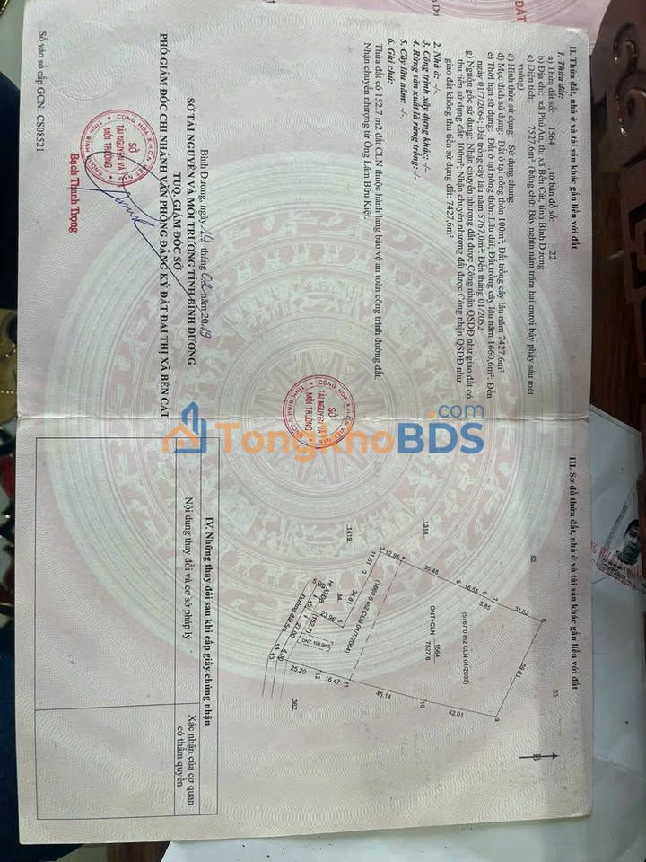 Bán Gấp Đất Vàng Bến Cát 7527m² - Sổ Đỏ Thổ Cư, Giá Rẻ 2.3 Triệu/m²