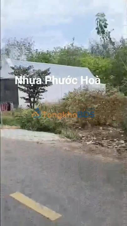 Bán đất 240m² đường Phước Hòa, Phú Giáo - Sổ hồng thổ cư, giá 1.1 tỷ