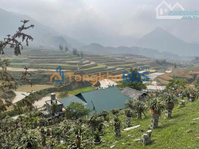 Đất Nền Tả Phìn 750m² - View Triệu Đô, Sẵn Sàng Xây Dựng, Giá Đầu Tư 6 Tỷ