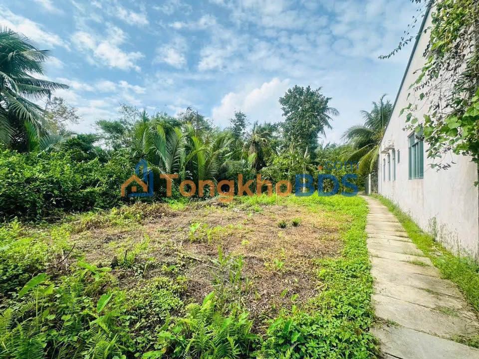 Bán Đất Thổ Vĩnh Long 242m² - Giảm Sốc Còn 620 Triệu - Gần Công An Tỉnh