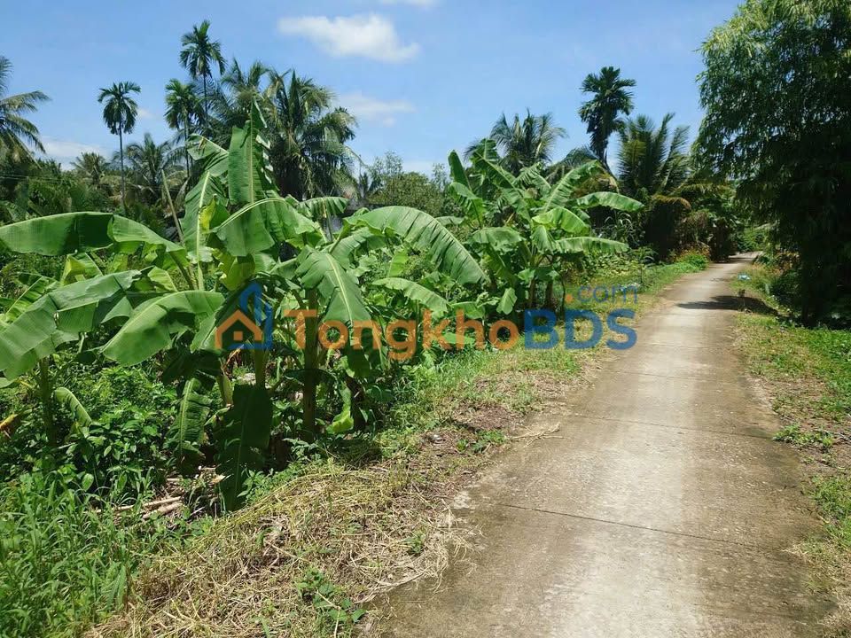 Đất Vĩnh Long 632m² - Sổ Đỏ Chính Chủ, Cạnh Sông Thoáng Mát