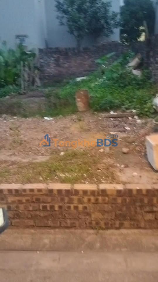 Đất Trâu Quỳ Gia Lâm 58m² - Ô tô đỗ cửa, giá 7.2 tỷ