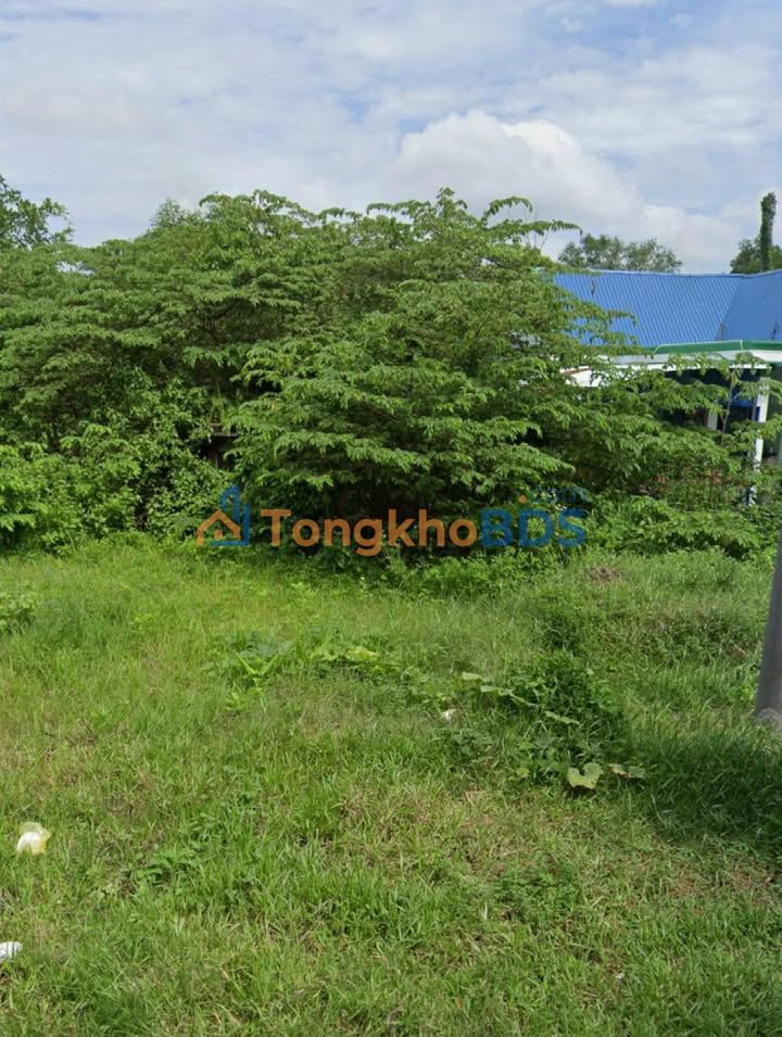 Nhà Mặt Tiền Long Phước 905m² - Đầu tư/Ở lý tưởng, gần Vinhomes Grand Park