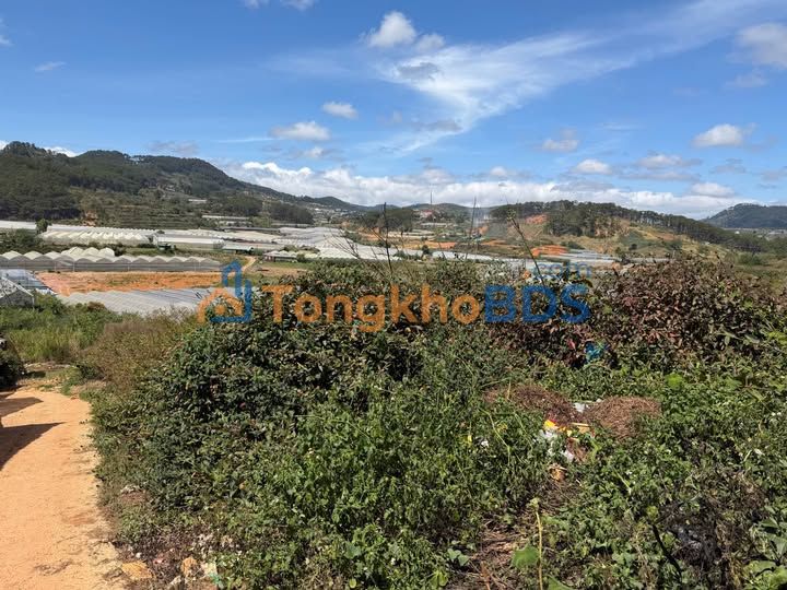 Đất Đạ Sar Lạc Dương 2.880m² 4,8 tỷ - Hạ tầng hoàn thiện