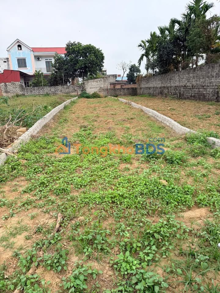 Đất Nền Hợp Thịnh, Hiệp Hòa, Bắc Giang - 123m² Full Thổ Cư, Giá Đầu Tư