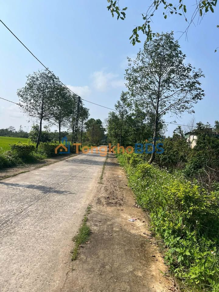 Đất Vàng Cẩm Thịnh, Hà Tĩnh - 216m² Chia 2 Lô, Giá Tốt 1.4 Tỷ