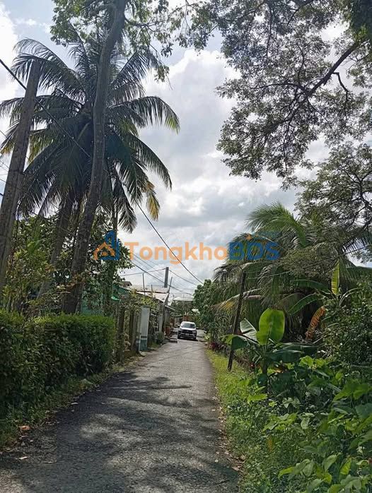 Bán Đất Vĩnh Long 1546m² - Mặt Tiền Rộng, Giá Tốt 6.2 Tỷ