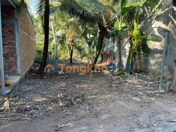 Bán đất nền 80m² Giồng Trôm, Bến Tre - Sổ đỏ 50m² thổ cư, đường xe 16 chỗ