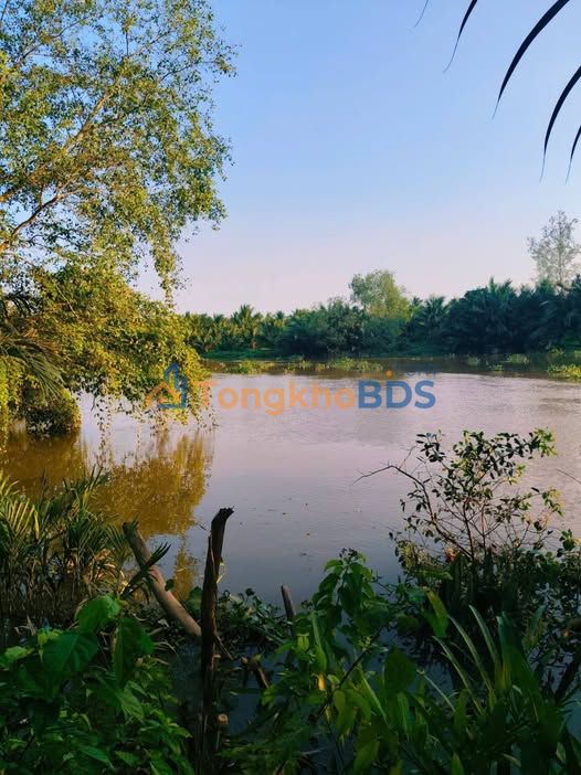 Đất Vườn Mặt Tiền Sông Ba Lai, Bến Tre - 5600m² QH Đất Ở, Giá Đầu Tư