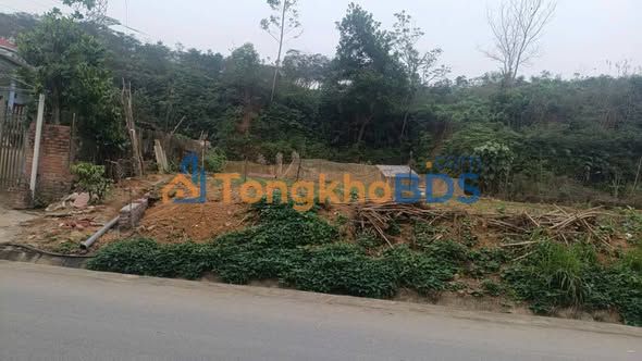 Đất nền 104.5m² mặt Huyện Lộ 75, Tam Nông, Phú Thọ - Giá tốt đầu tư