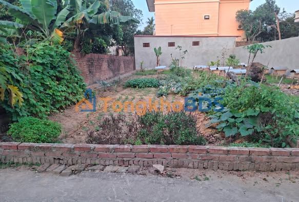 Đất thổ cư Sóc Sơn 100m² - Sổ hồng vuông vắn, ô tô vào đất