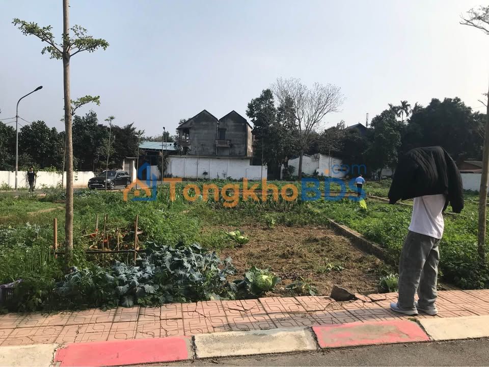 Bán đất thổ cư 87m² Hoà Lạc - Sổ đỏ riêng, giá tốt